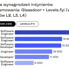 Wykres pokazuje zarobki senior developerów i innych specjalistów IT.
