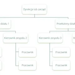 Schemat przedstawia strukturę firmy produkcyjnej: Dyrekcja, przełożeni działów, kierownicy zespołów i pracownicy.
