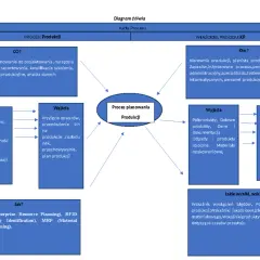 Diagram żółwia dla procesu produkcji. Metoda żółwia pokazuje wejścia, wyjścia, zasoby i wskaźniki.