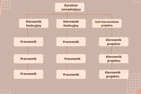 Schemat pokazuje, co to jest struktura organizacyjna: Dyrektor zarządzający, kierownicy funkcyjni i projektowi oraz pracownicy.