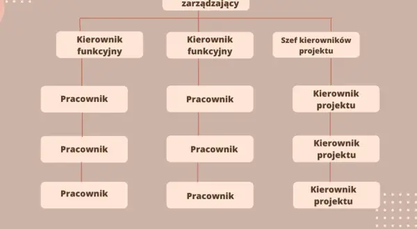 Schemat pokazuje, co to jest struktura organizacyjna: Dyrektor zarządzający, kierownicy funkcyjni i projektowi oraz pracownicy.