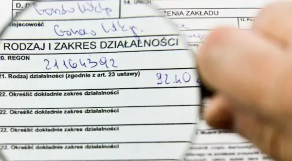 Formularz podatkowy z lupą. Analiza podatek liniowy a VAT, wpisany REGON i rodzaj działalności.