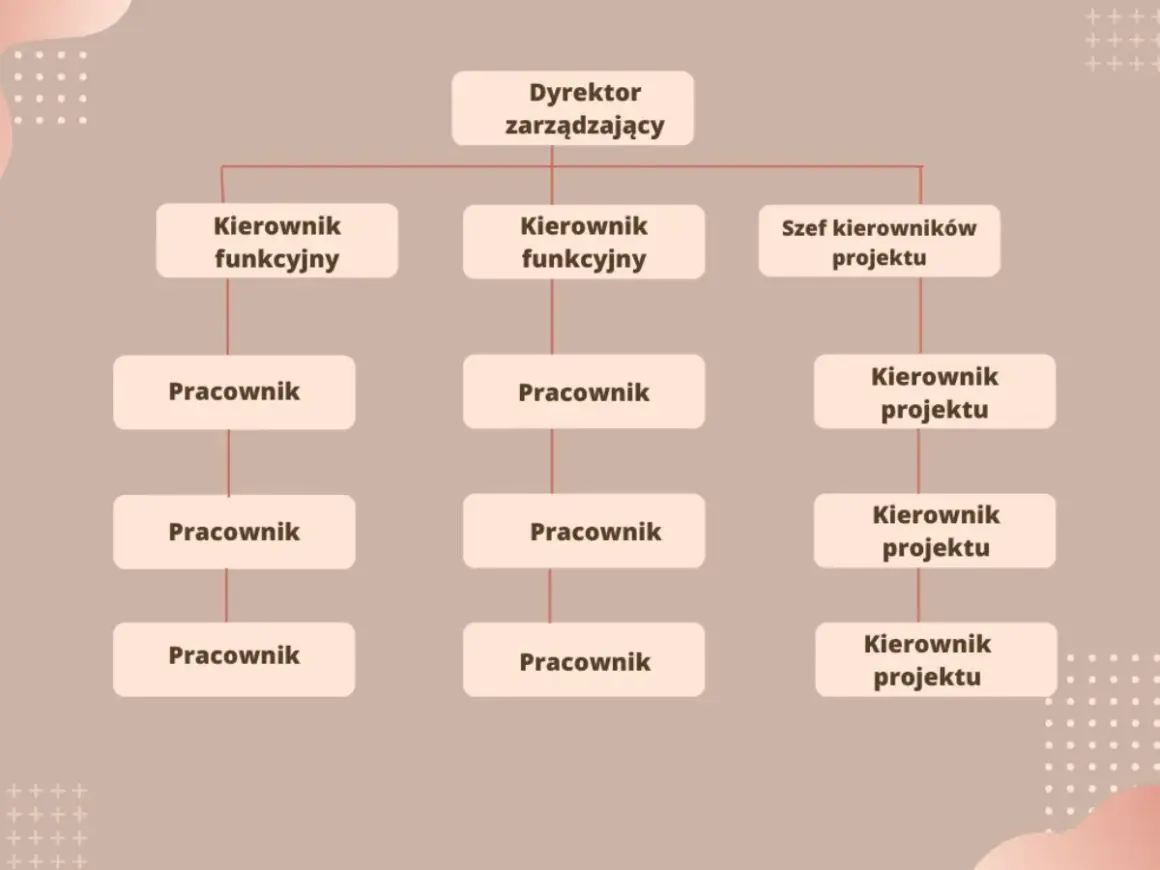 Schemat pokazuje, co to jest struktura organizacyjna: Dyrektor zarządzający, kierownicy funkcyjni i projektowi oraz pracownicy.