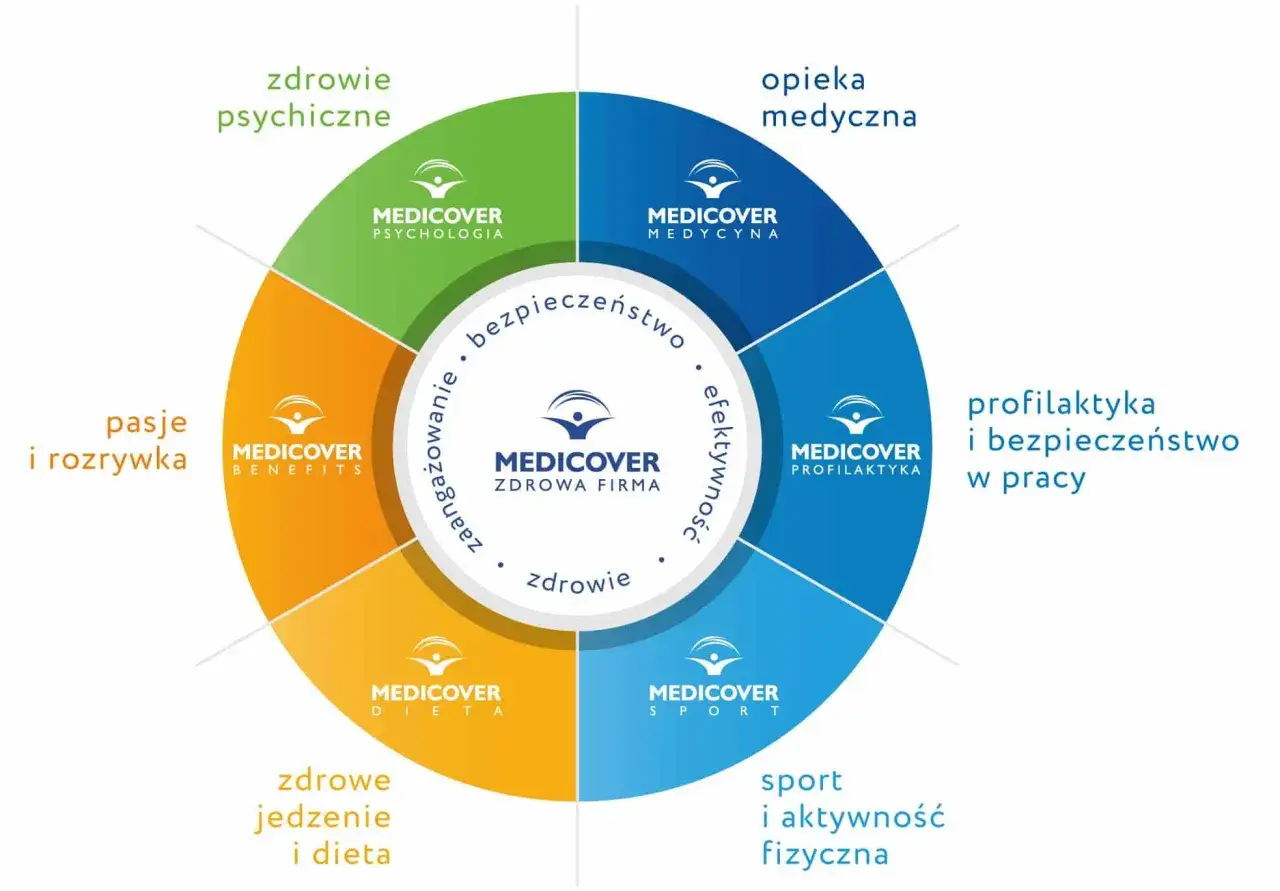 Diagram przedstawia benefity na b2b: zdrowie psychiczne, medycyna, profilaktyka, sport, dieta, pasje i rozrywka.