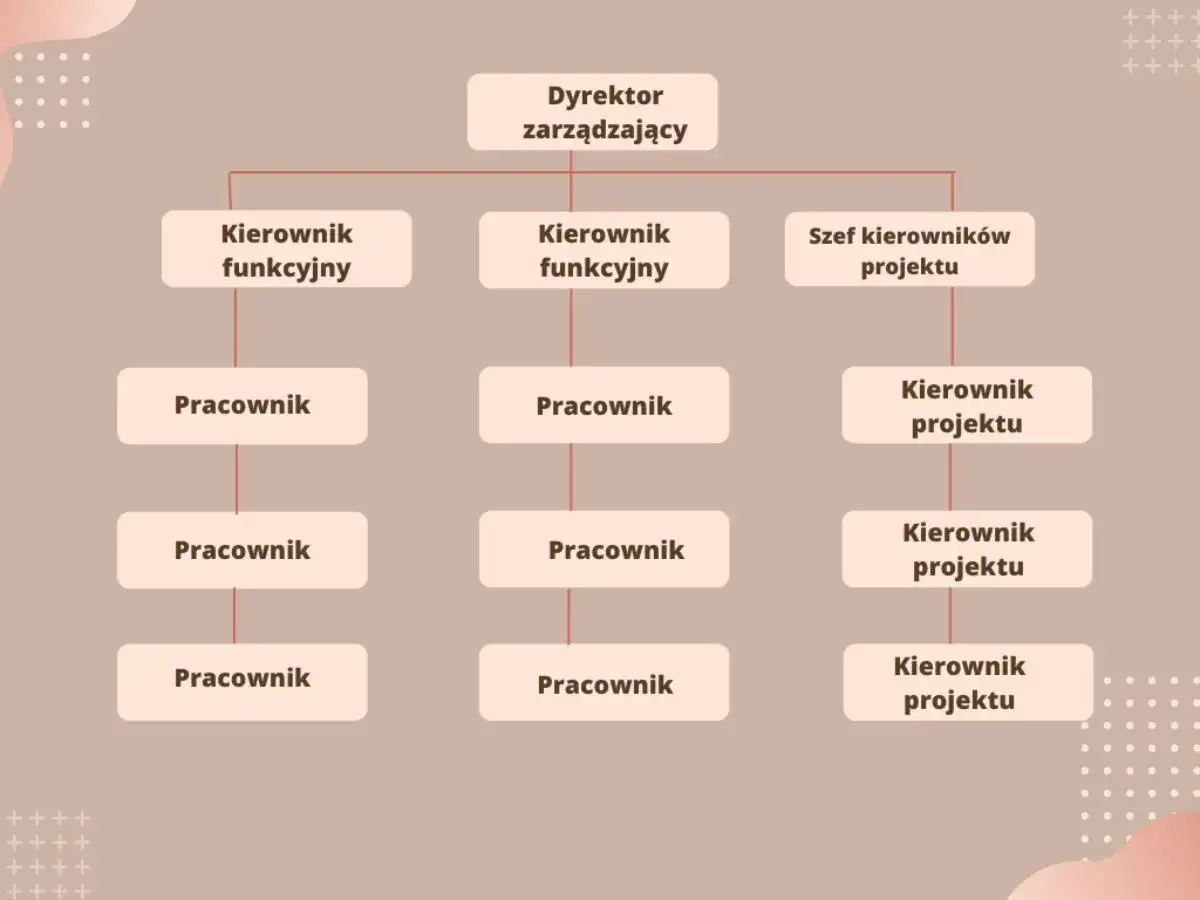 Schemat przedstawia strukturę organizacyjną funkcjonalną, z dyrektorem zarządzającym na czele, kierownikami funkcyjnymi i szefem kierowników projektu, a poniżej pracownikami.